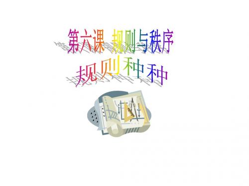 规则与秩序 规则种种