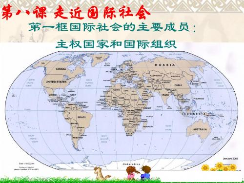 国际社会的主要成员：主权国家和国际组织