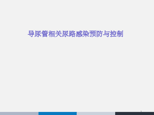 导尿管相关性尿路感染预防与控制指南ppt课件