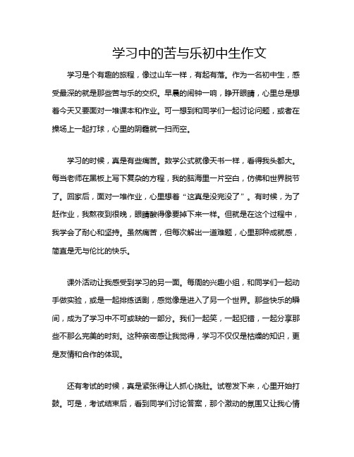 学习中的苦与乐初中生作文