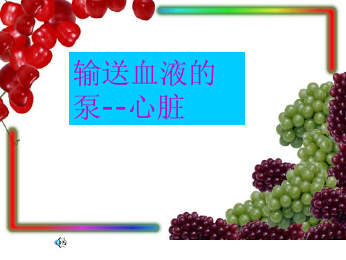 七年级生物心脏ppt课件