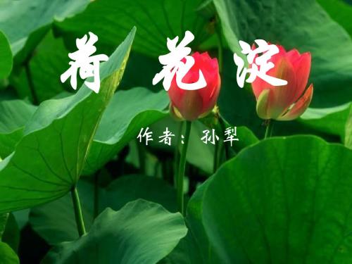 高教版中职语文(基础模块)上册第11课《荷花淀》ppt课件3