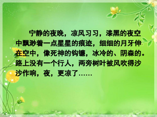 环境描写精品PPT课件