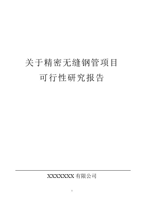 精密无缝钢管可行性研究报告1