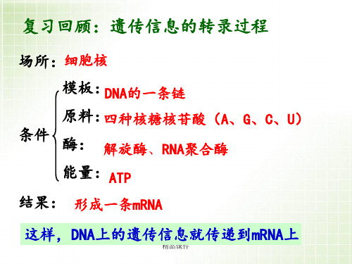 《遗传信息的翻译》最新版本