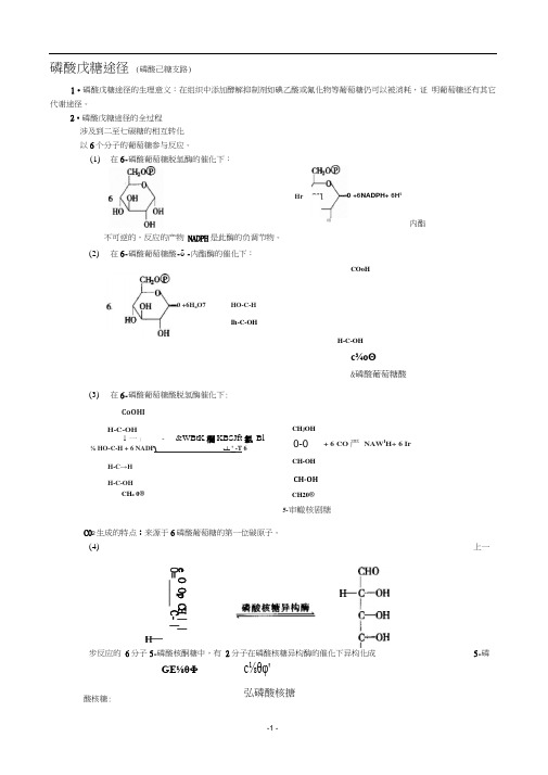 磷酸戊糖途径.docx
