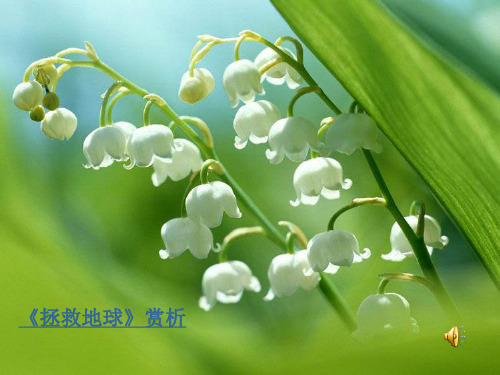 绿洲(美术)