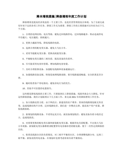 降本增效措施降损增效年度工作计划