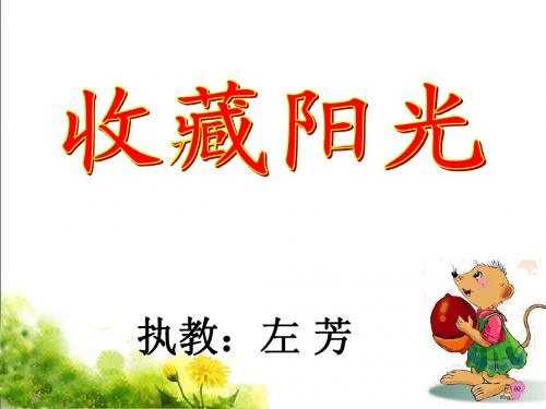 《收藏阳光》课件