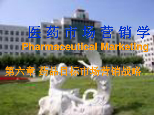 药品目标市场营销战略分析