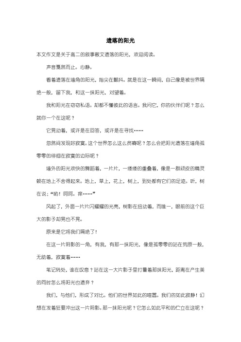 高中高二叙事散文：遗落的阳光