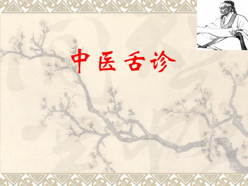中医舌诊ppt课件