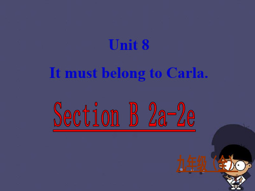 人教新目标版九年级英语全册 Unit 8 It must elong to Carla Sect(4)