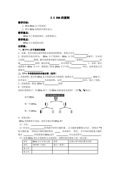 3.3DNA的复制导学案
