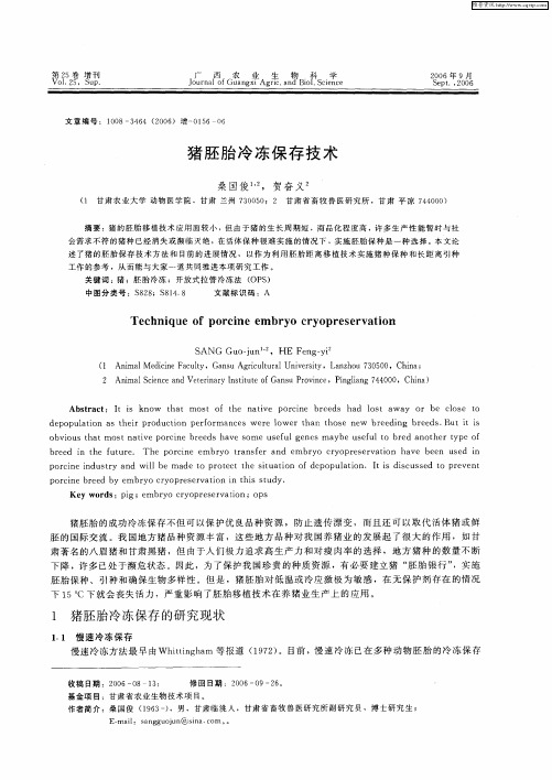 猪胚胎冷冻保存技术