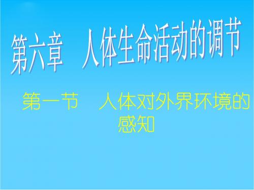七年级生物下册 人体对外界环境的感知课件 人教新课标版
