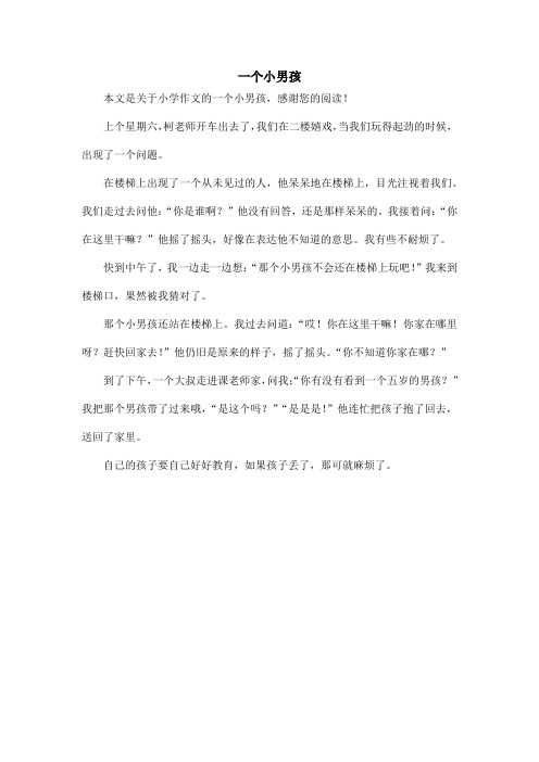 一个小男孩_小学作文