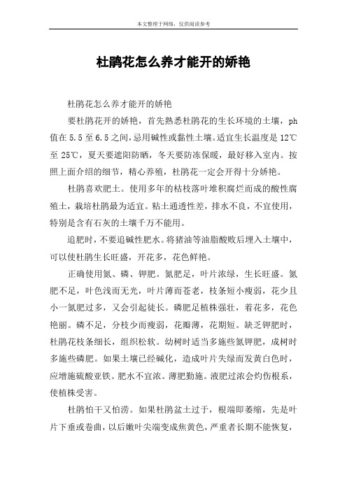 杜鹃花怎么养才能开的娇艳