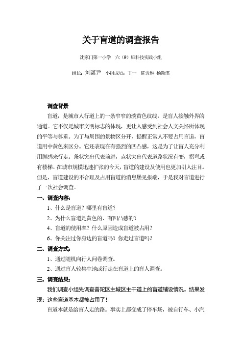 关于盲道的调查报告