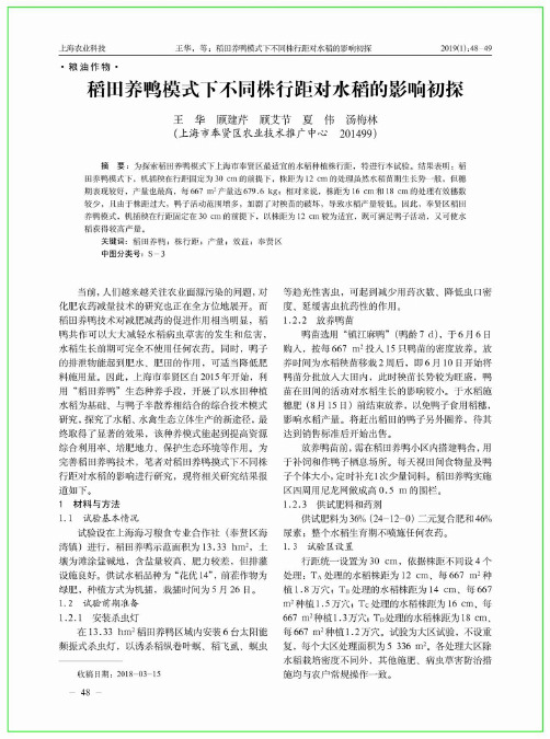 稻田养鸭模式下不同株行距对水稻的影响初探