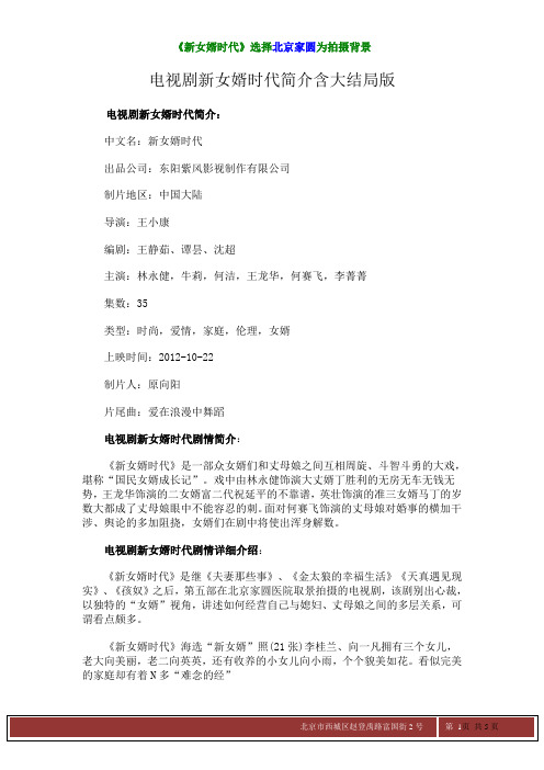 电视剧新女婿时代简介含大结局版
