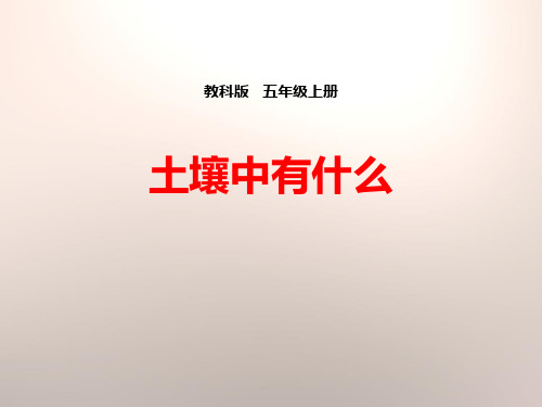 教科版五年级科学上册《土壤中有什么》PPT课件(6篇)