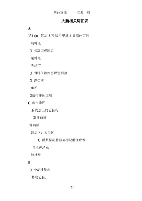 大脑词汇翻译整理