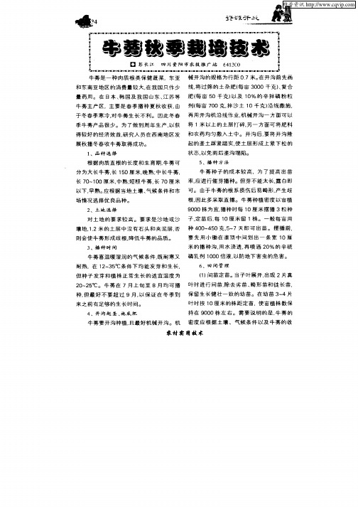牛蒡秋季栽培技术