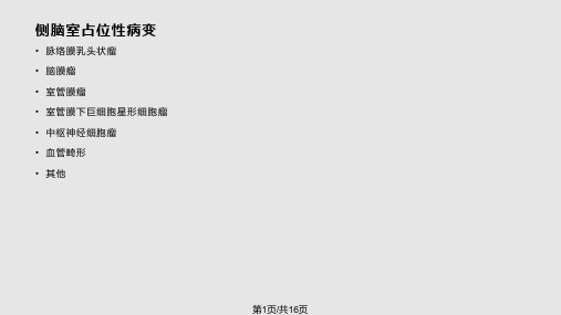 脑室占位PPT课件