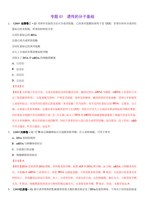 专题05 遗传的分子基础-三年(2017-2019)高考真题生物分项汇编(带解析)