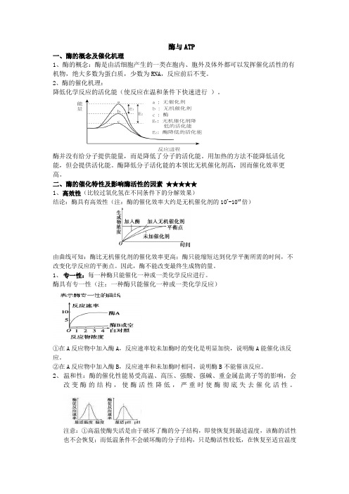 酶与ATP