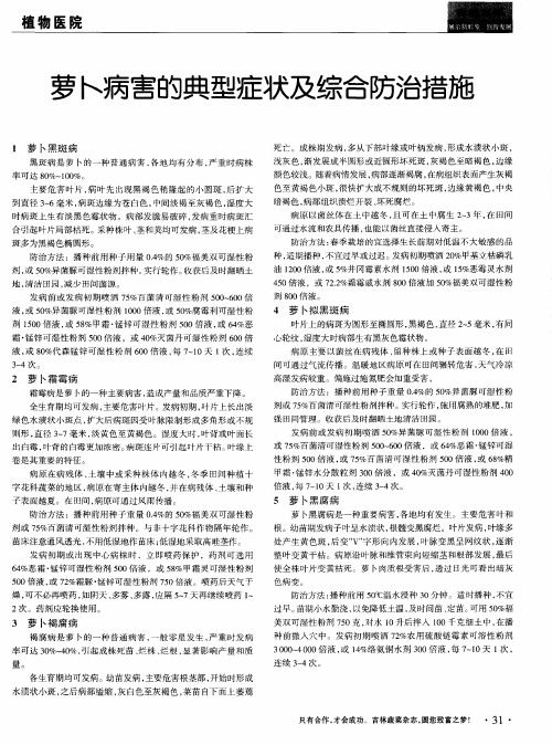 萝卜病害的典型症状及综合防治措施