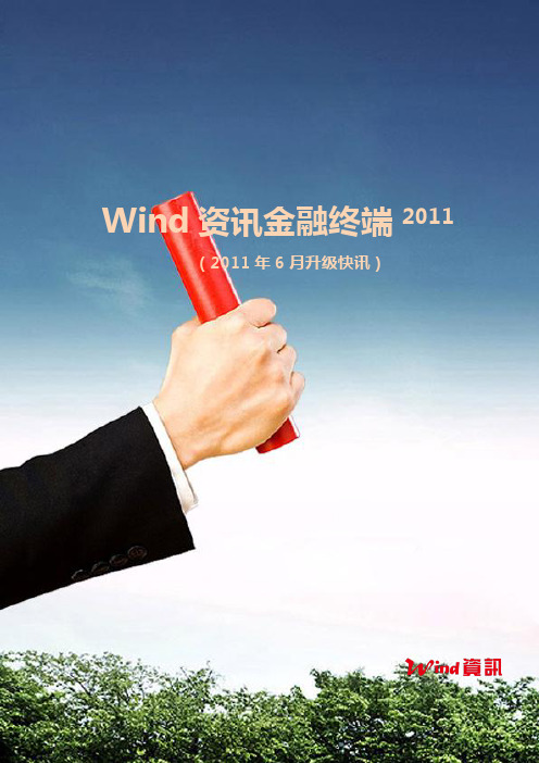 Wind资讯金融终端快讯(2011年6月)
