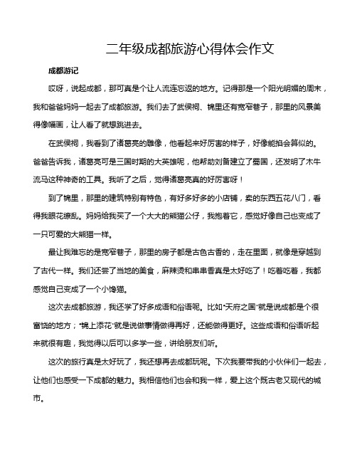 二年级成都旅游心得体会作文