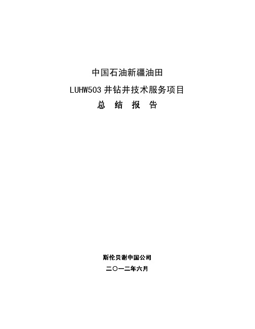 LUHW503完井报告