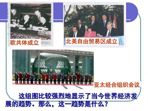 当今世界经济区域集团化的发展PPT教学课件3 人民版