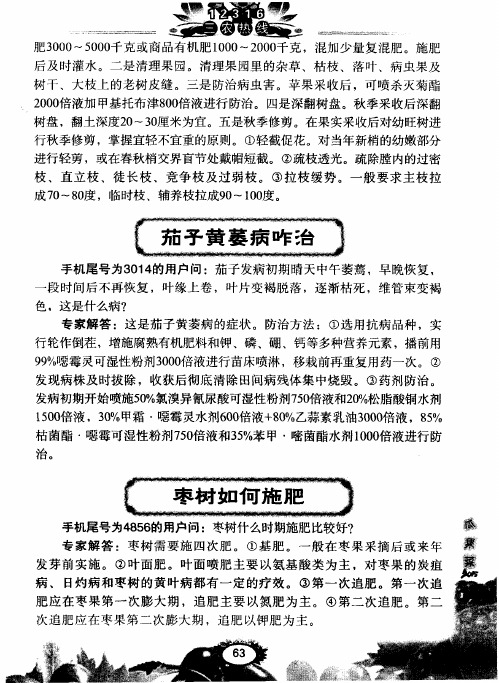 枣树如何施肥