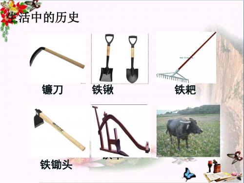 铁器牛耕引发的社会变革ppt13