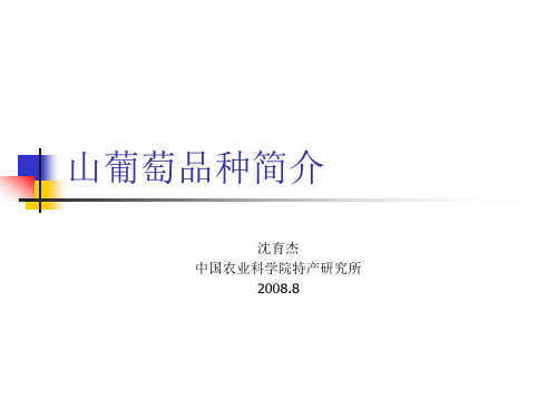 山葡萄品种简介