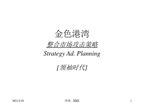 整合攻击策略案PPT参考课件