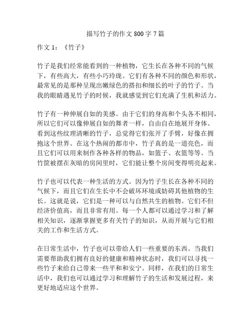 描写竹子的作文800字7篇