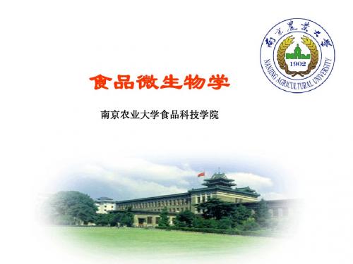 第三章  真核微生物的形态结构与功能