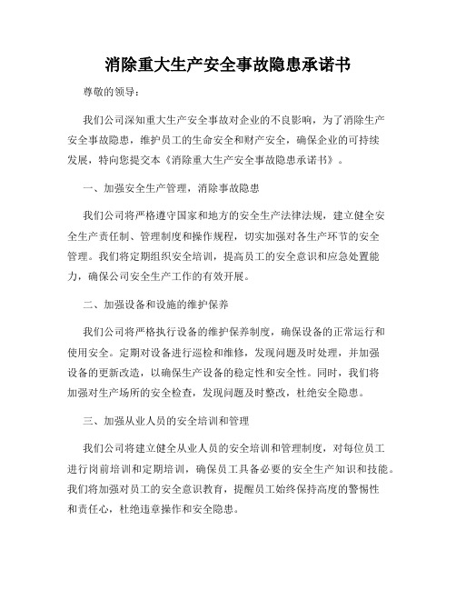 消除重大生产安全事故隐患承诺书
