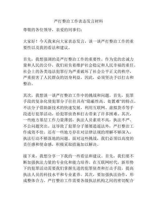 严打整治工作表态发言材料