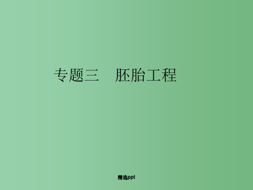高中生物第一轮复习 专题三 胚胎工程课件