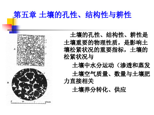第五章土壤肥料学