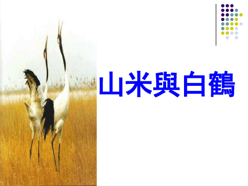 语文版八年级语文课件-山米与白鹤ppt