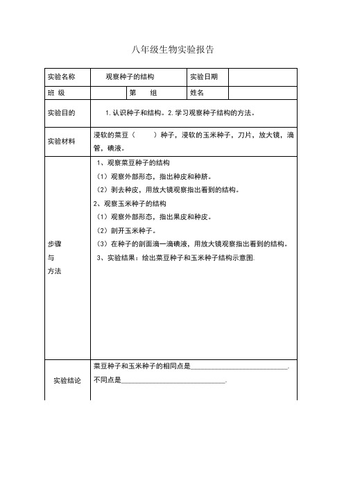 生物实验报告__观察种子的结构