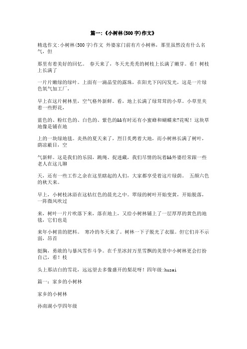 我最喜爱的小树林作文500