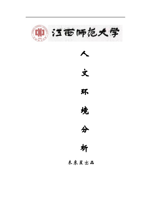 人文环境分析word